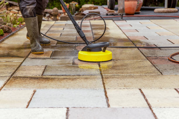 Best Boat and Dock Cleaning  in Williams, CA